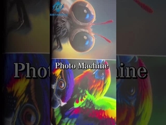 Água larga do formato - máquina baseada de Logo Digital Colour Photo Printing da impressora