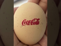 8 impressora UV das tintas DTF da cor com o filme de impressão do AB e altura flexível dos meios de 6mm